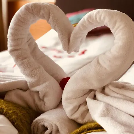 Hotel Havila Ivar Aasen